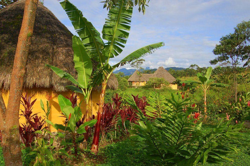 Huasquila Amazon Lodge Cotundo Exteriör bild