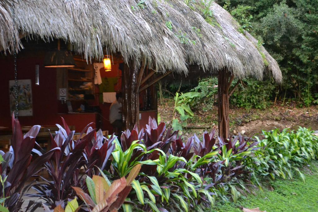 Huasquila Amazon Lodge Cotundo Exteriör bild