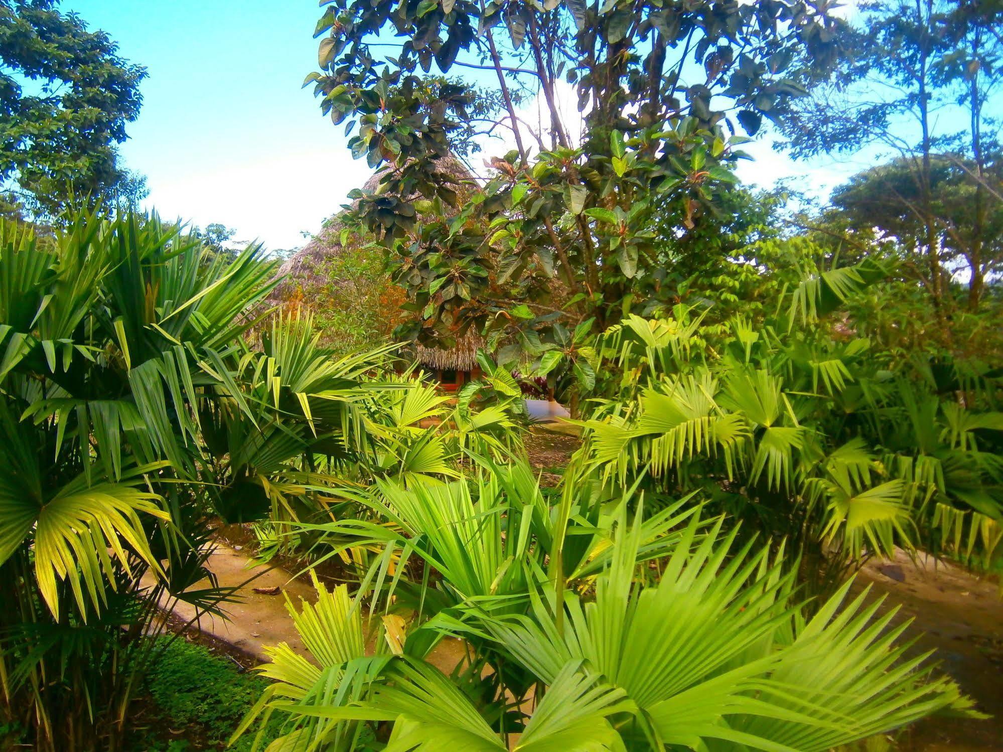 Huasquila Amazon Lodge Cotundo Exteriör bild
