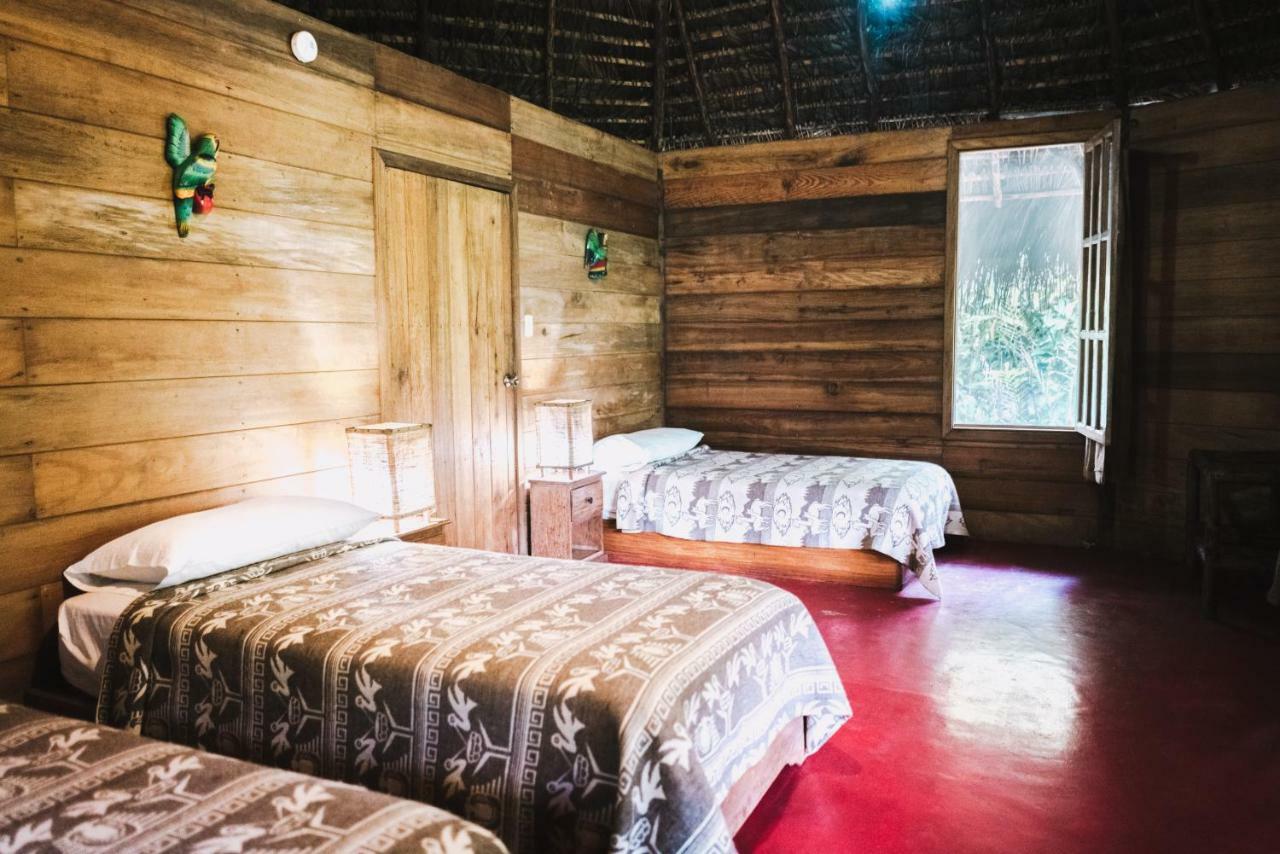 Huasquila Amazon Lodge Cotundo Exteriör bild