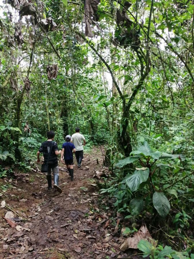 Huasquila Amazon Lodge Cotundo Exteriör bild